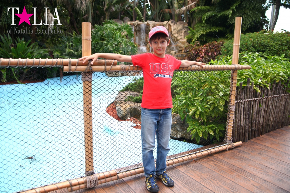 Катание на лодке вокруг Острова обезьян в Стране Львов, Флорида